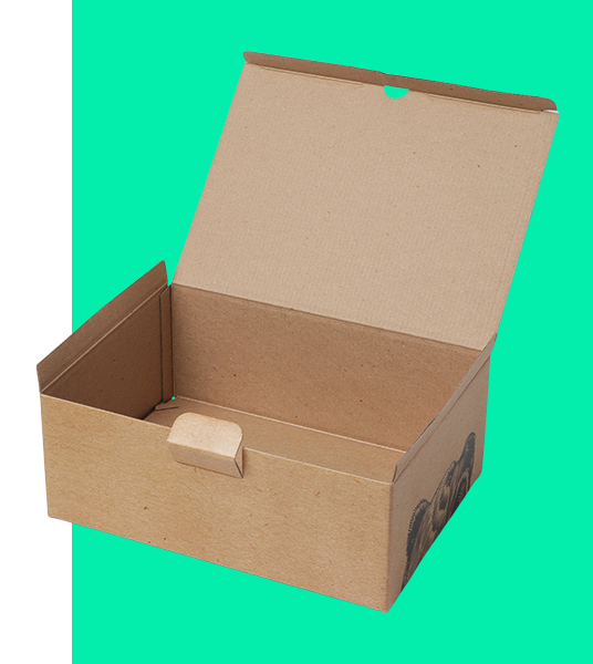 custom cbd gift packaging box